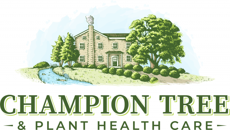 Champion-Tree-logo_med